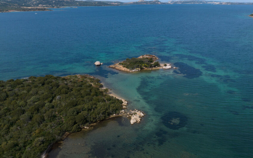 Apartment sea view Cala Bitta